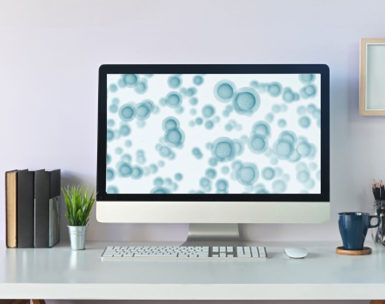 Live Blood Cell Analysis